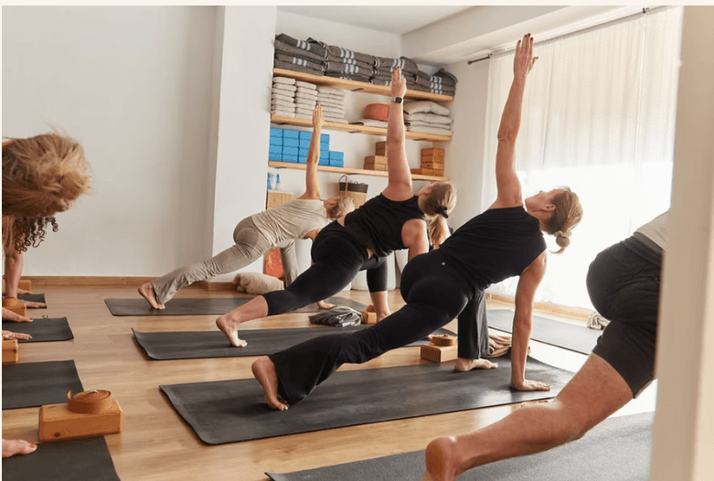 Hatha Yoga (with Satvika)