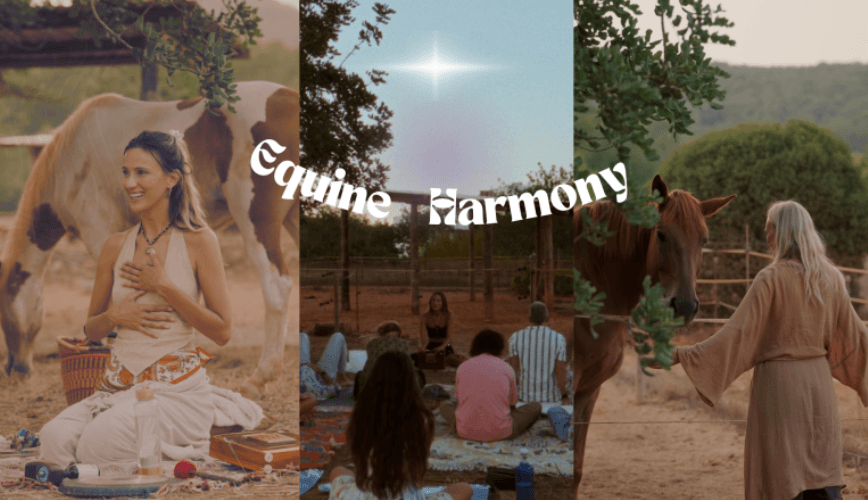 Equine Harmony Experience