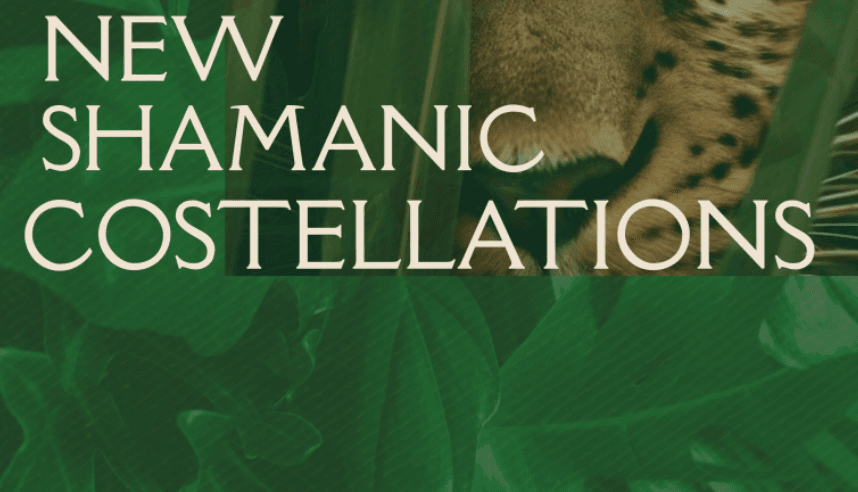 New Shamanic Constellations /