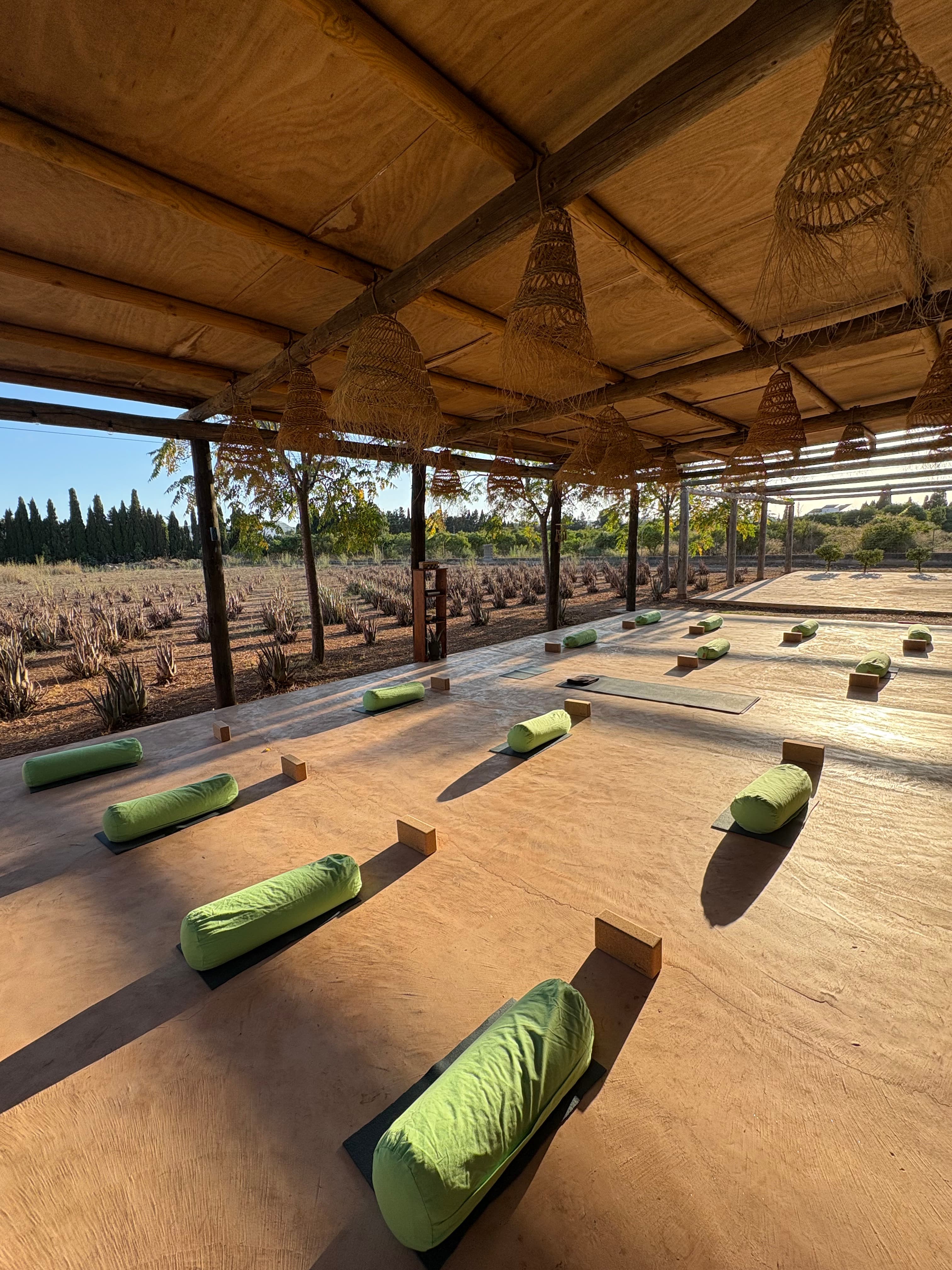 Vinyasa Yoga class
